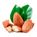 Almond